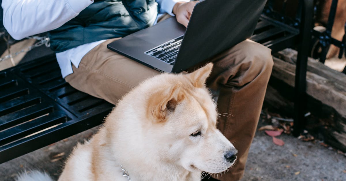 How to Choose the Best Online Project Management Training Program