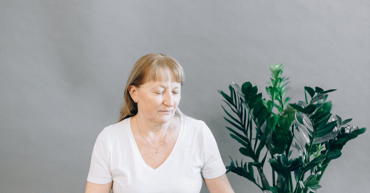 How to Evaluate Online Training Courses for Project Managers